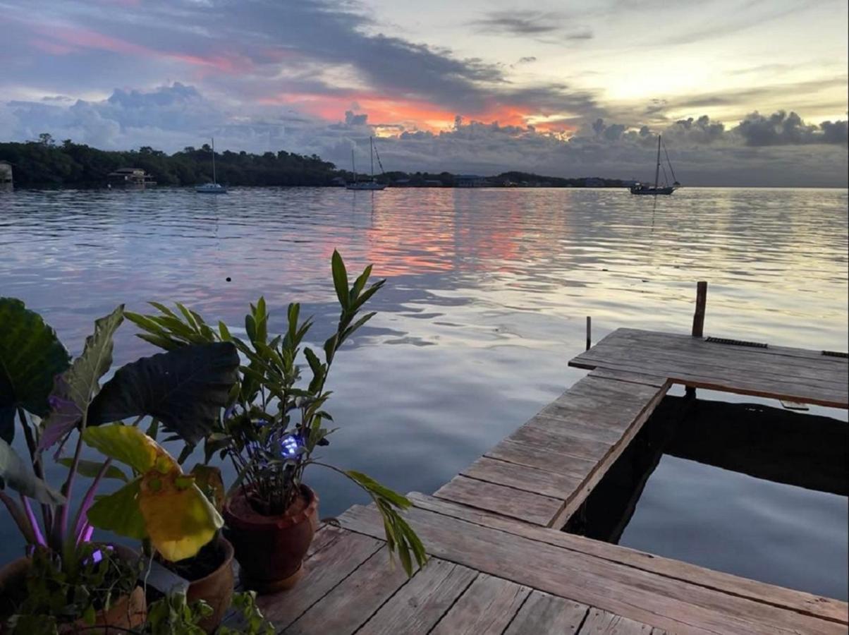 Villa Amaya Bocas del Toro Exteriér fotografie